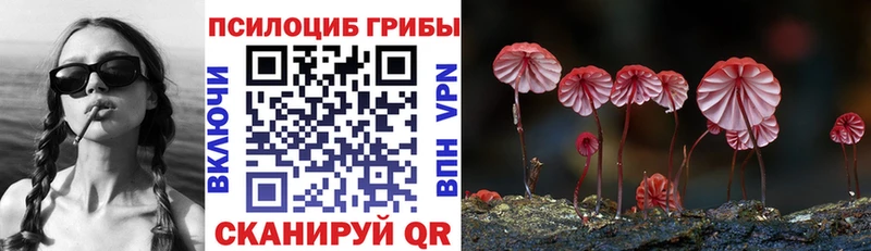 площадка официальный сайт  Кулебаки  Псилоцибиновые грибы Magic Shrooms 